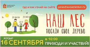 Акция Наш лес