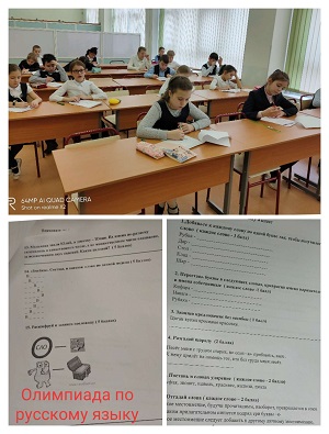Библиотека